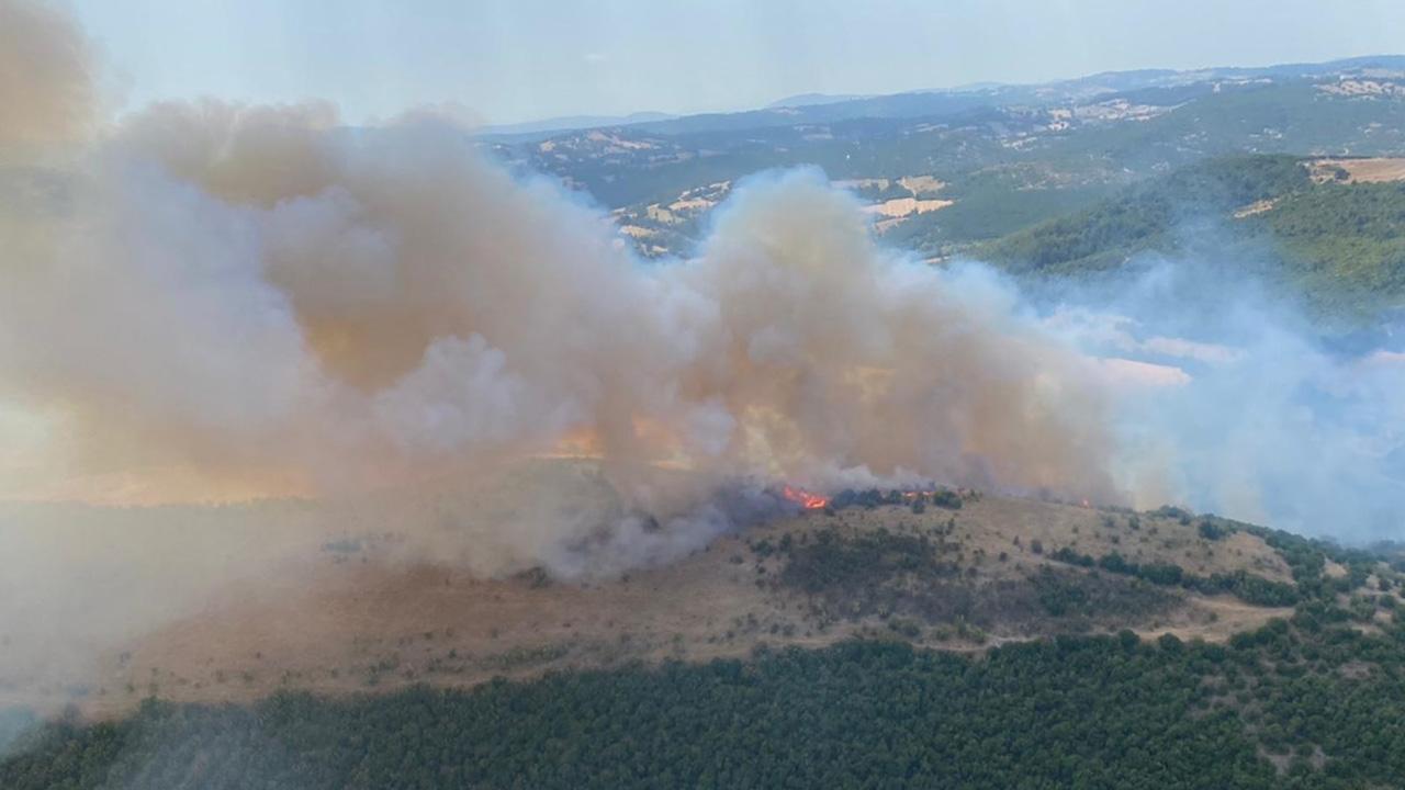 Balıkesir'de orman yangını çıktı!