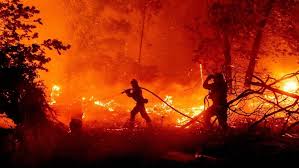 Portekiz orman yangınları ile boğuşuyor!